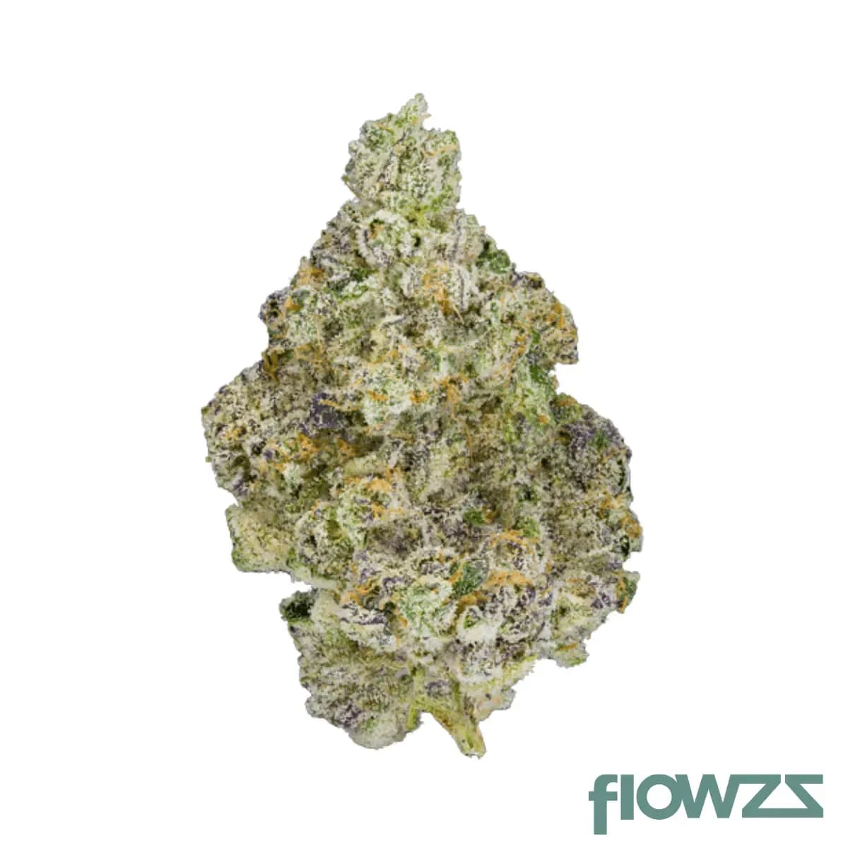 mediprocan-lunaris-25-1-paradiso