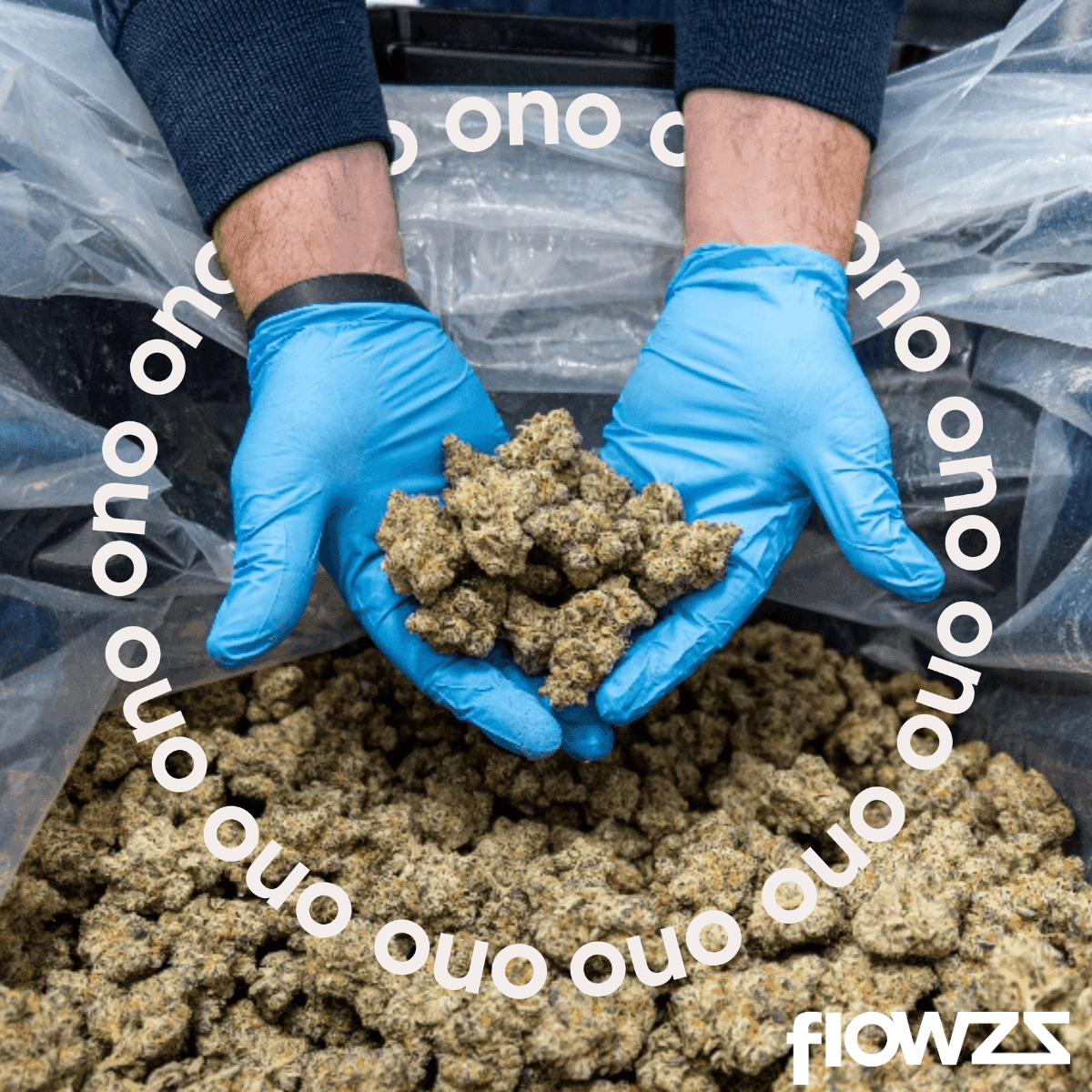 ono-astrono-25-1-rainbow-pie-5