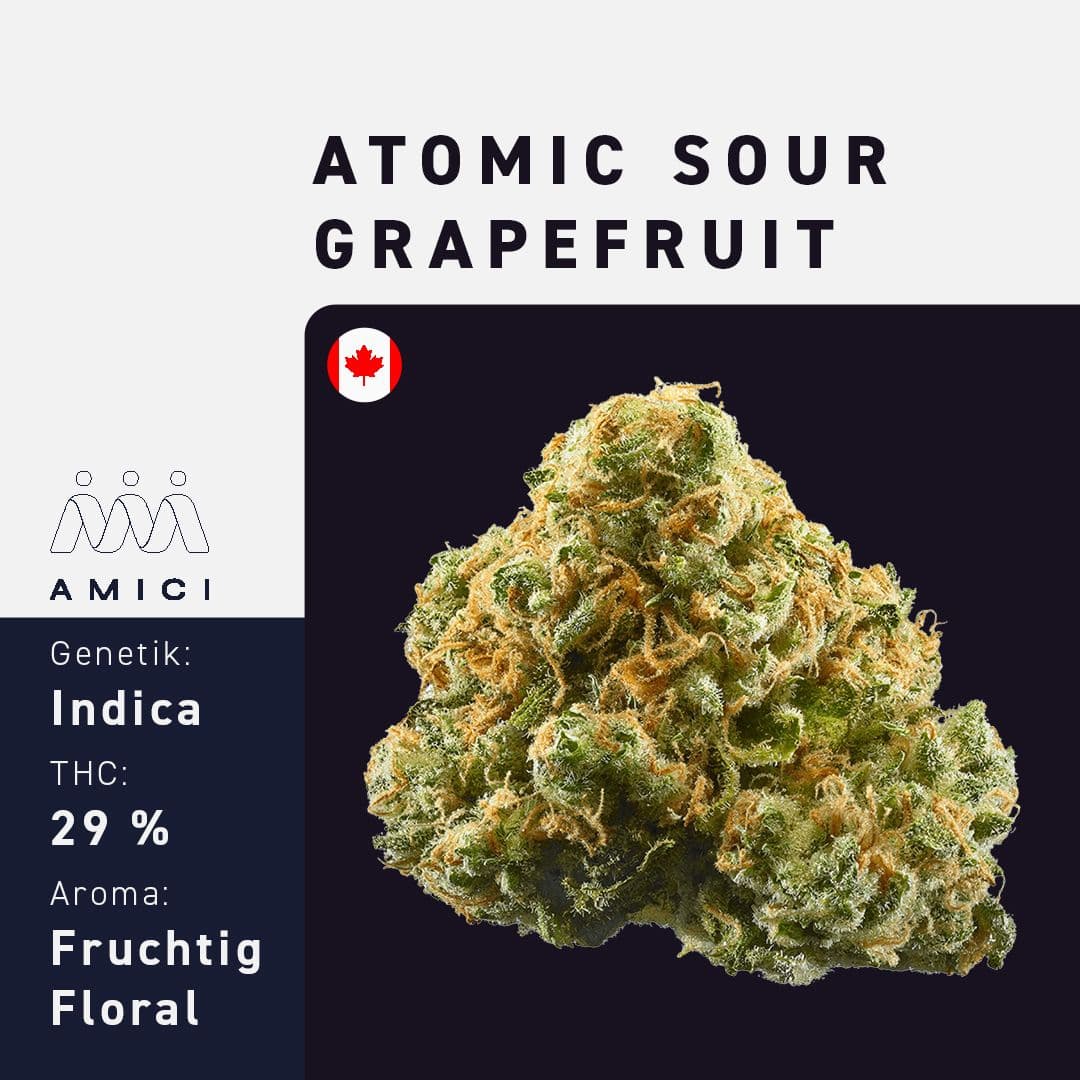 29/1 Amici AS Atomic Sour Grapefruit