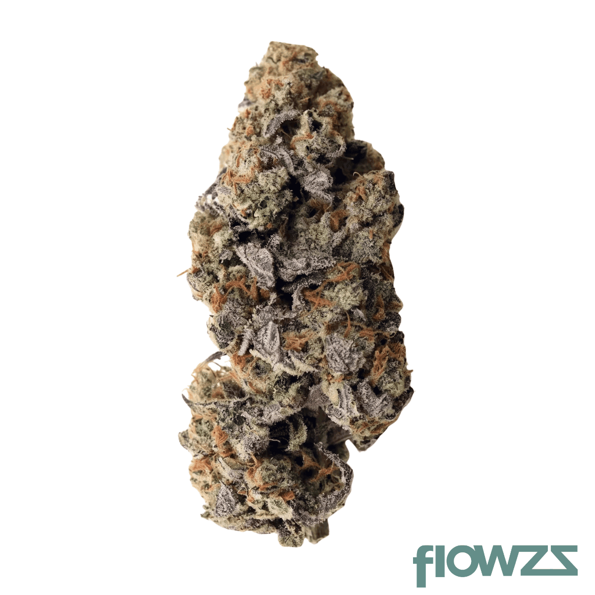 all-nations-gfo-31-1-godfather-og