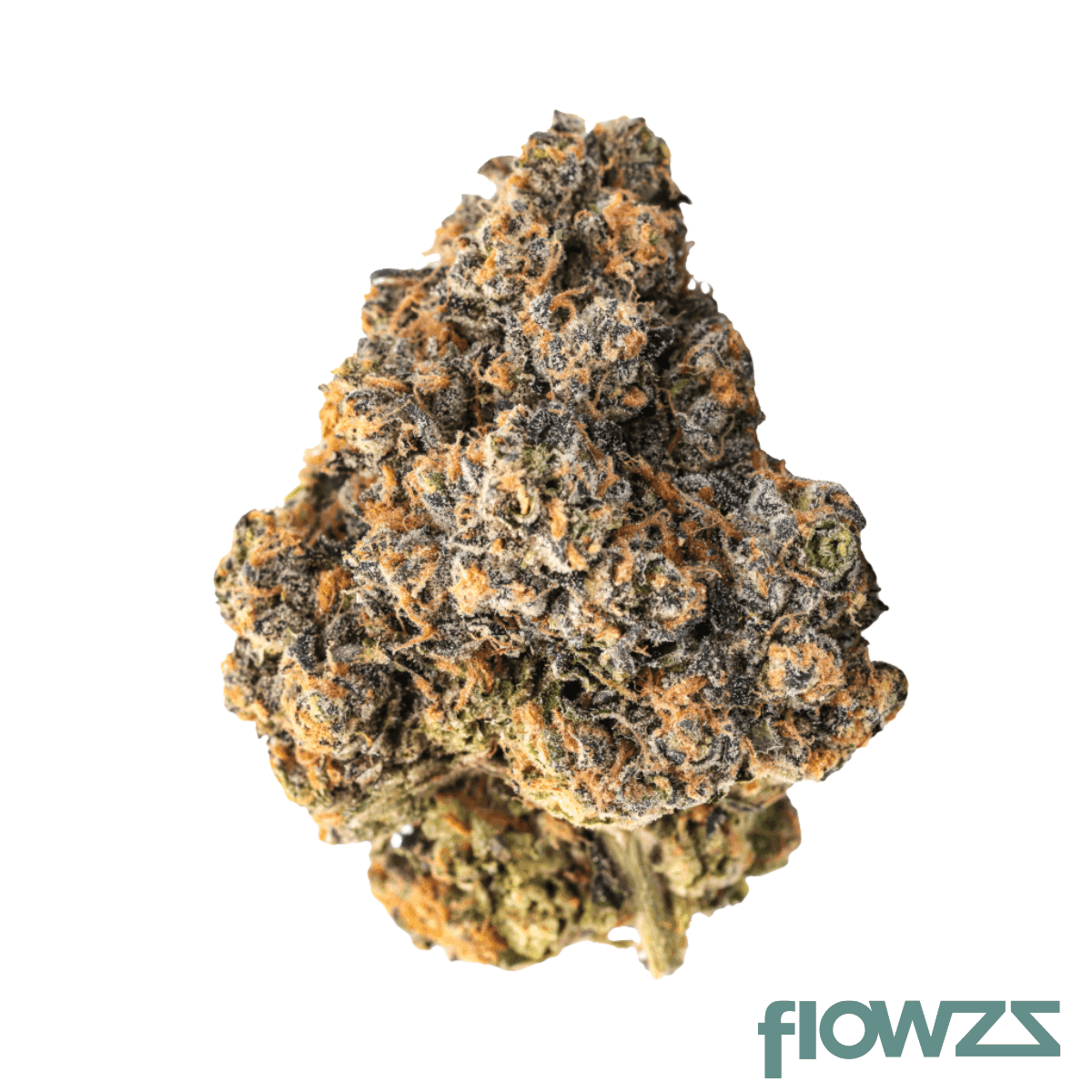 amici-31-1-yhe-cookies-gelato-yahemi