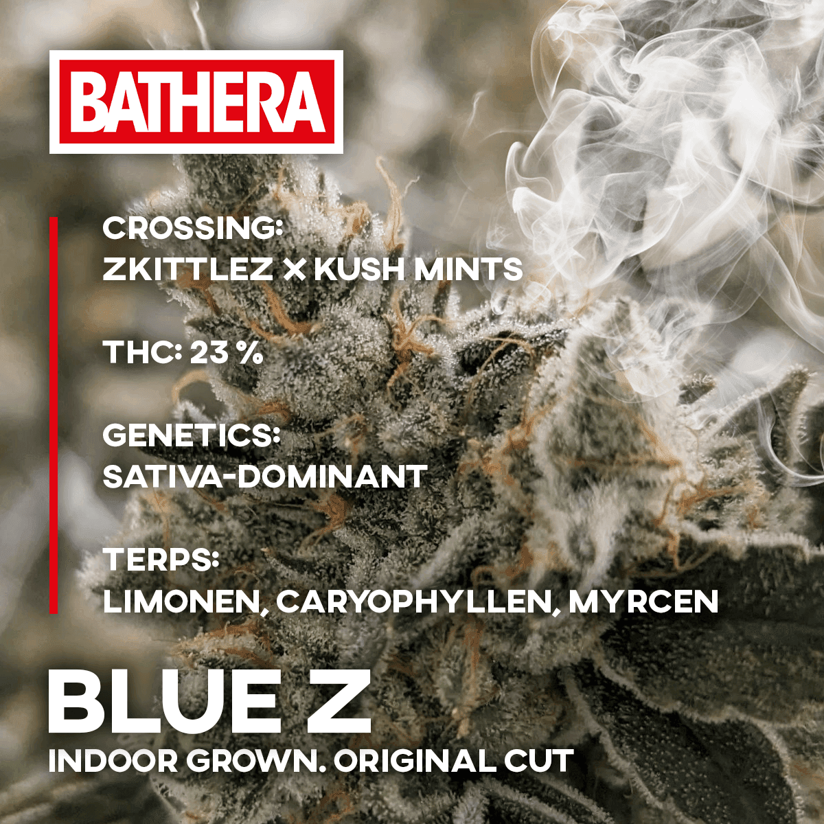 Bathera 23/1 BZ Blue Z