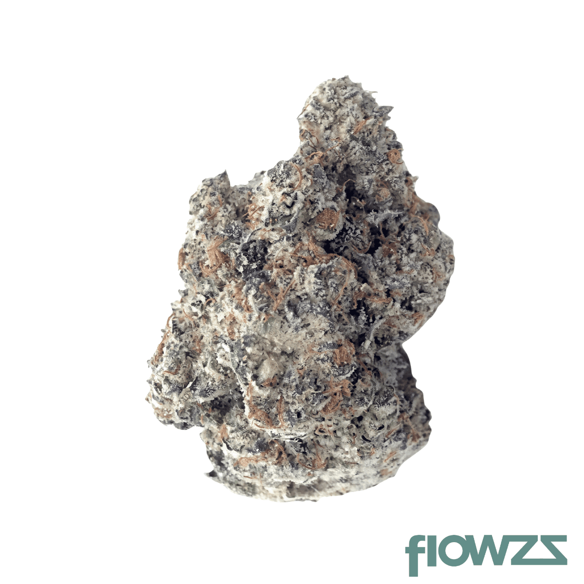 fast-leaf-24-1-bfr-blueberry-fritter
