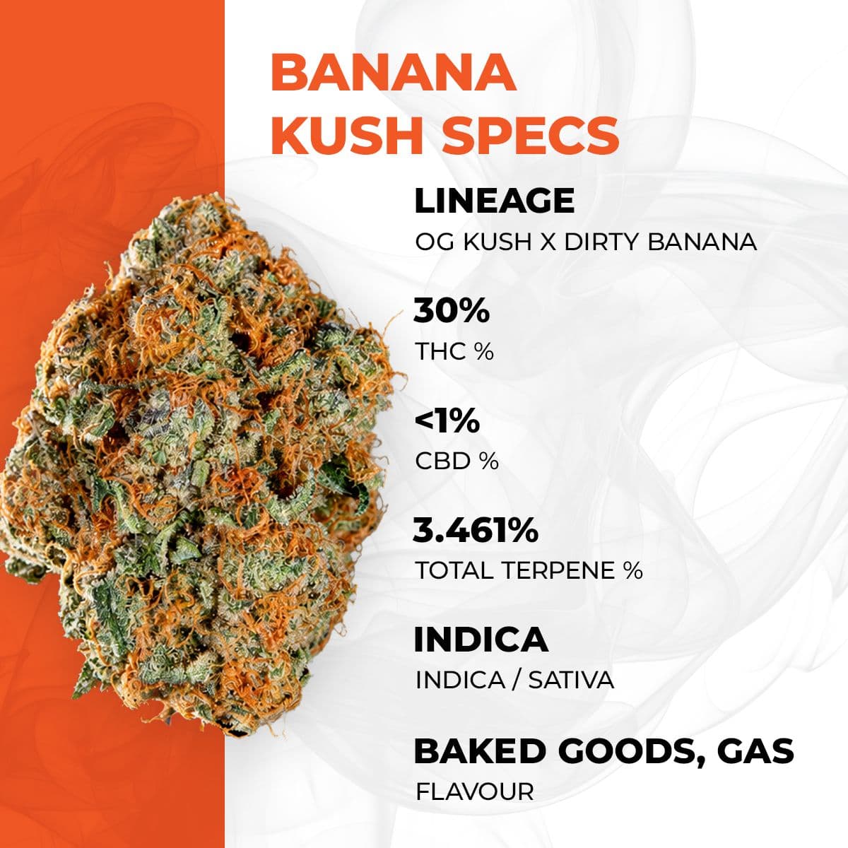 Oya BNK 30/1 Banana Kush