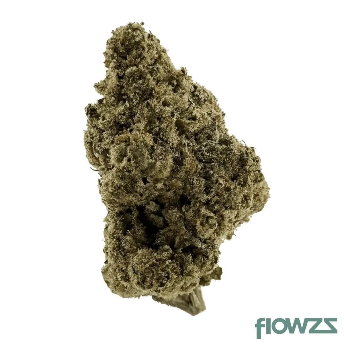 mgf-cali-x-gazzy-28-1