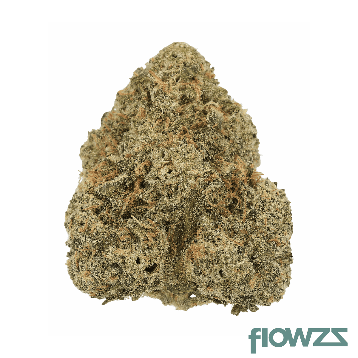 Cannamedical Indica Forte DK Blue Cheese
