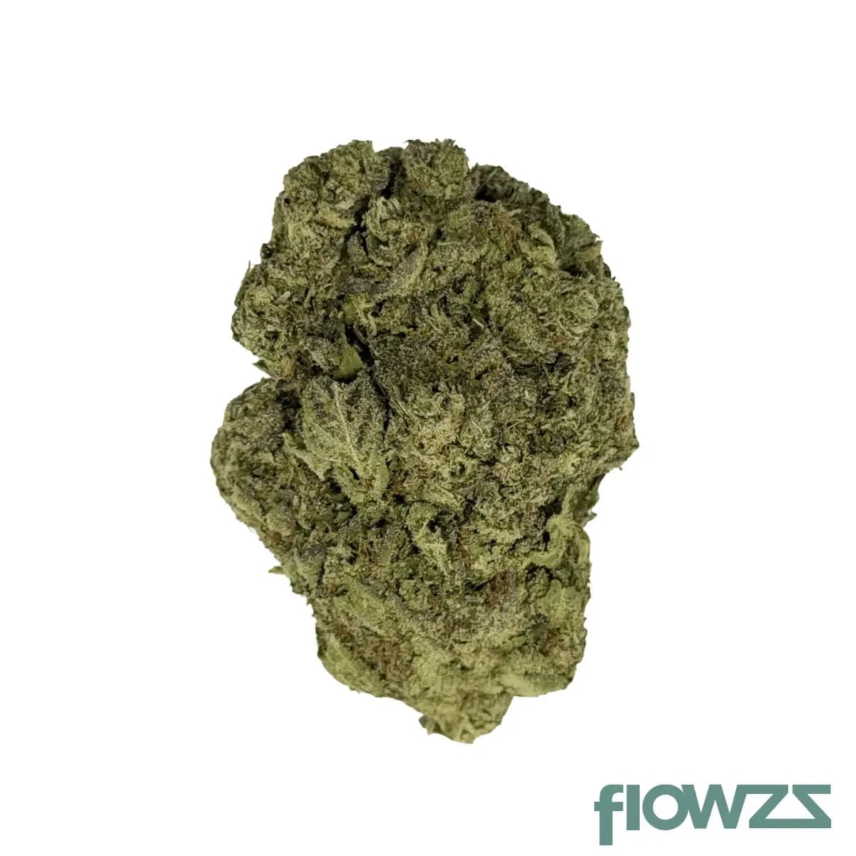 care-mw-thc22-maui-wauwi