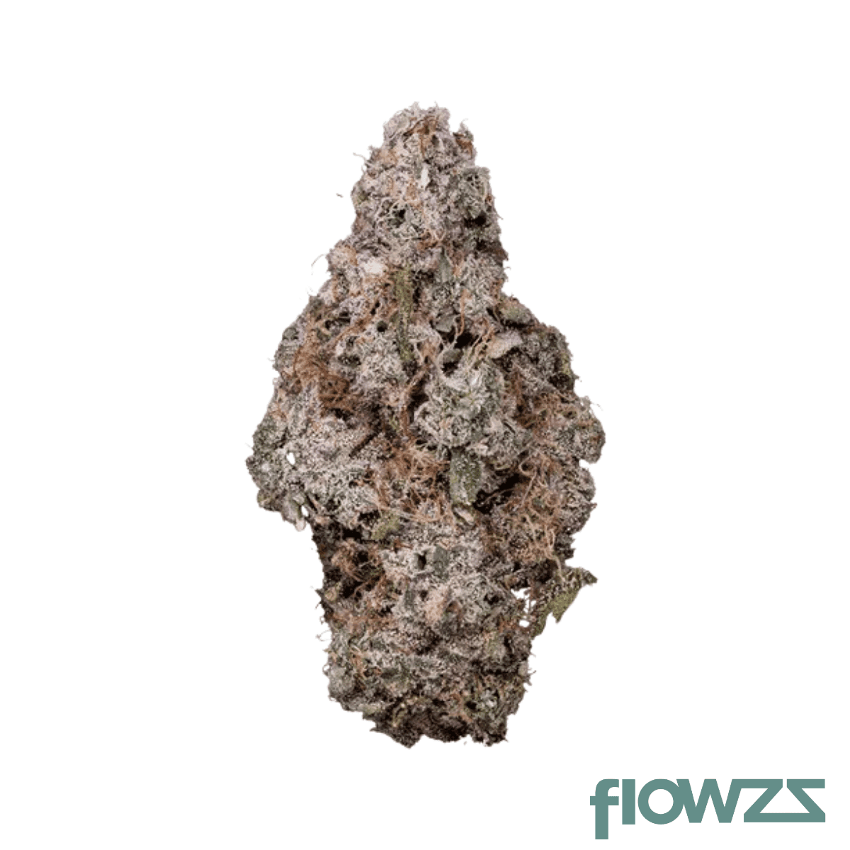 care-pol-thc25-porto-lece