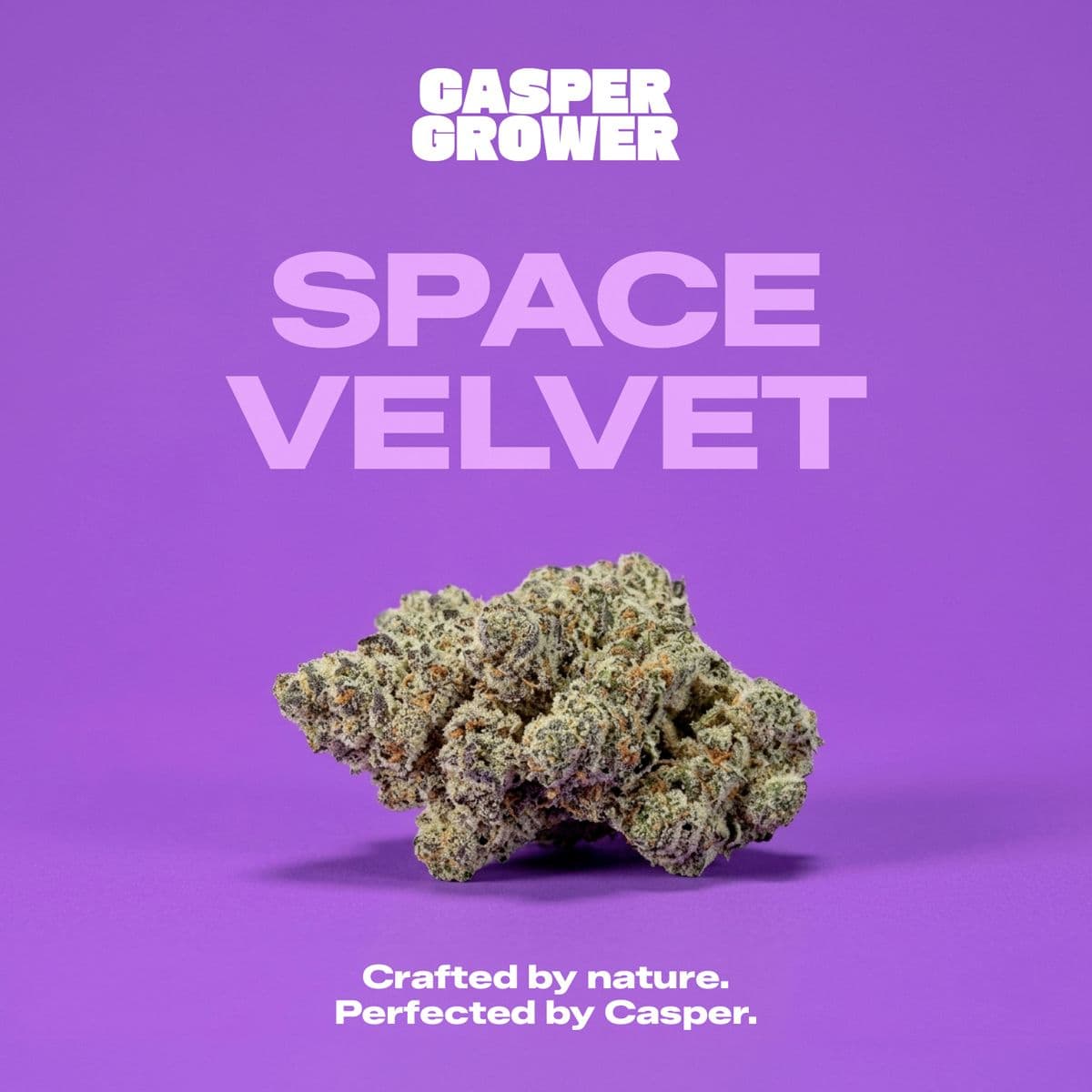 Casper's No. 3 Space Velvet 26/1