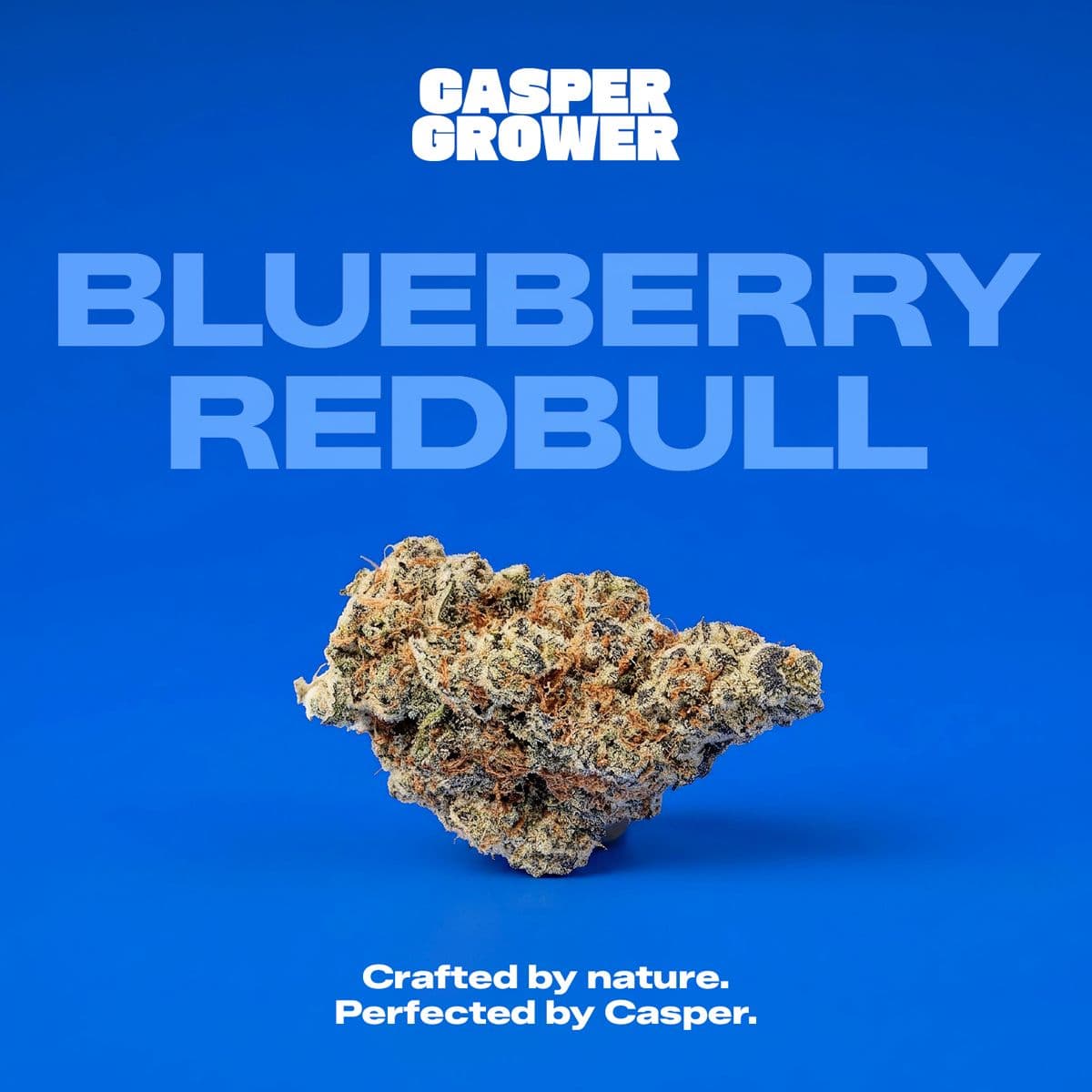 Casper's No. 5 Blueberry Redbull 23/1