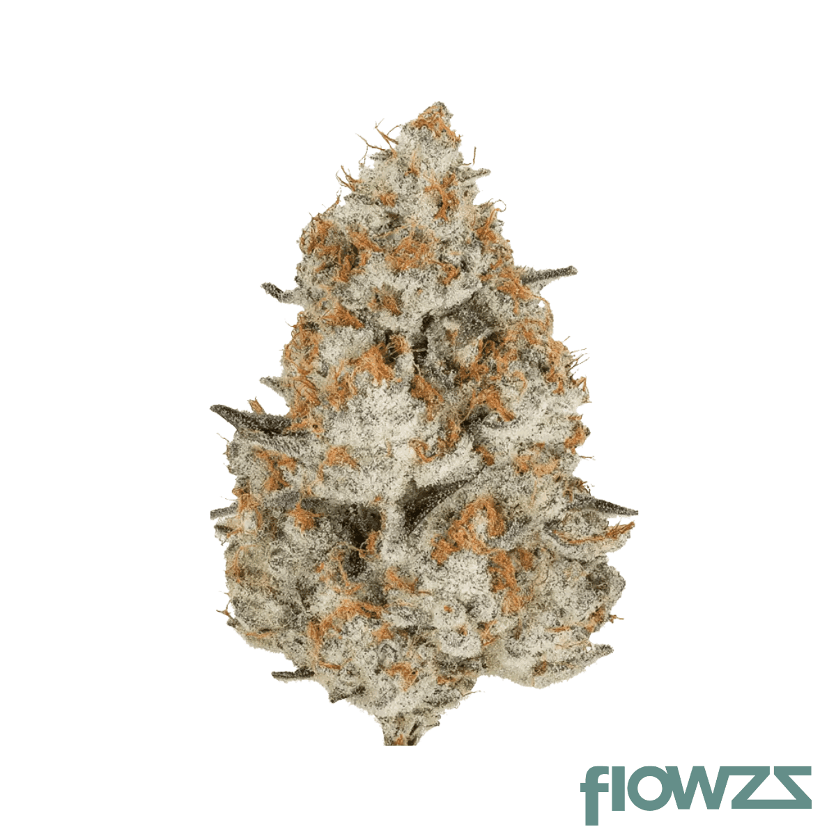 amp-omg-thc27-omg-burger