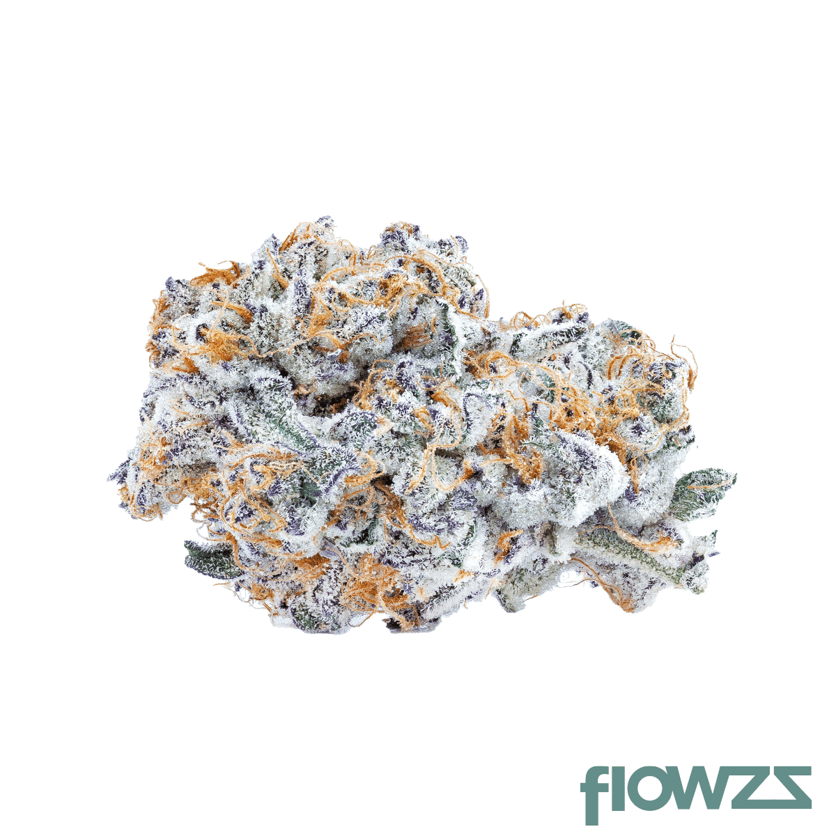 avaay SIGNATURE 26/1 BYY Blueberry Yum Yum
