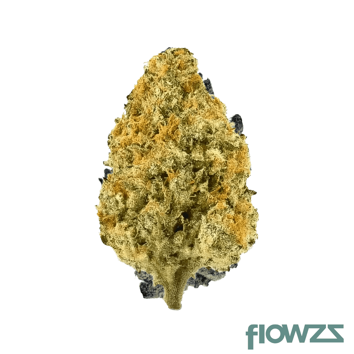 lot-420-gndi-gandi