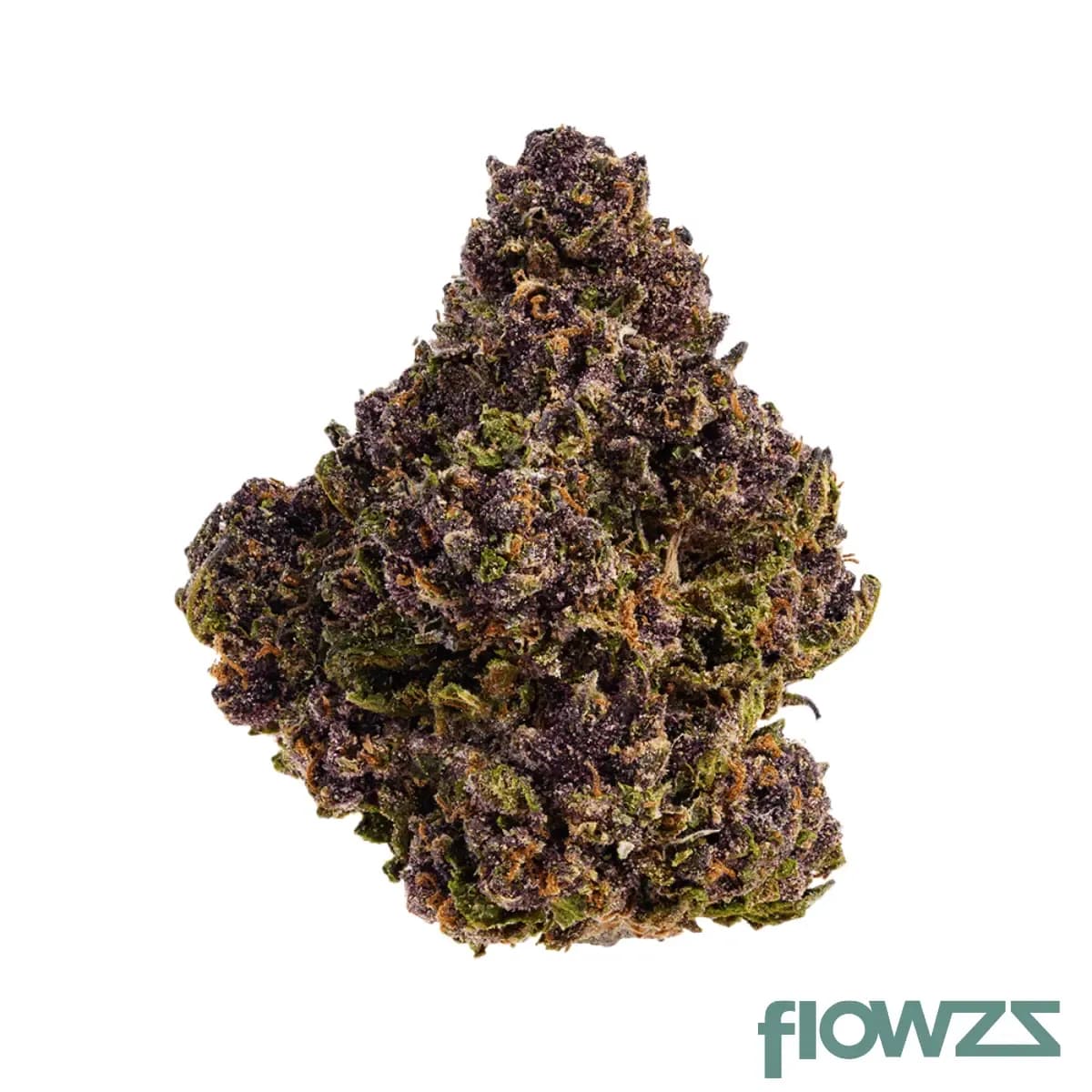 phcann-exotics-26-1-red-pop