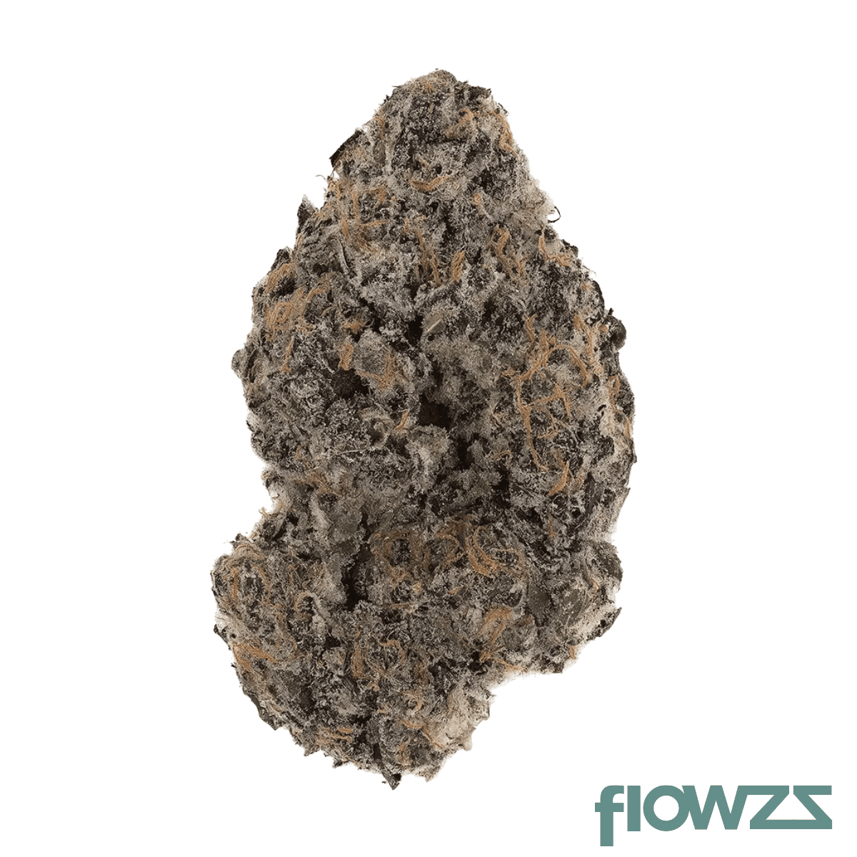 cureous-zeb-thc27-ze-boof