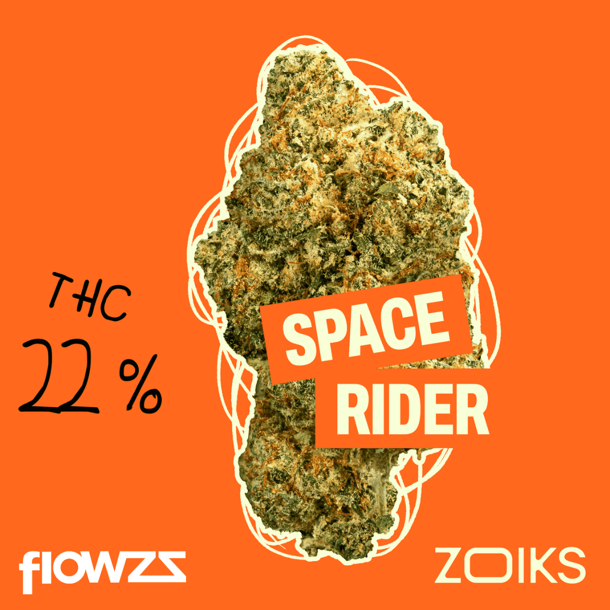 ZOIKS 22/1 SR Space Rider
