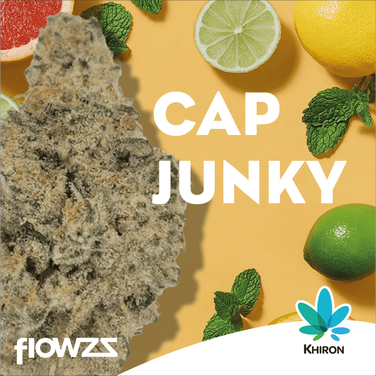 Khiron CJ 27/1 Cap Junky