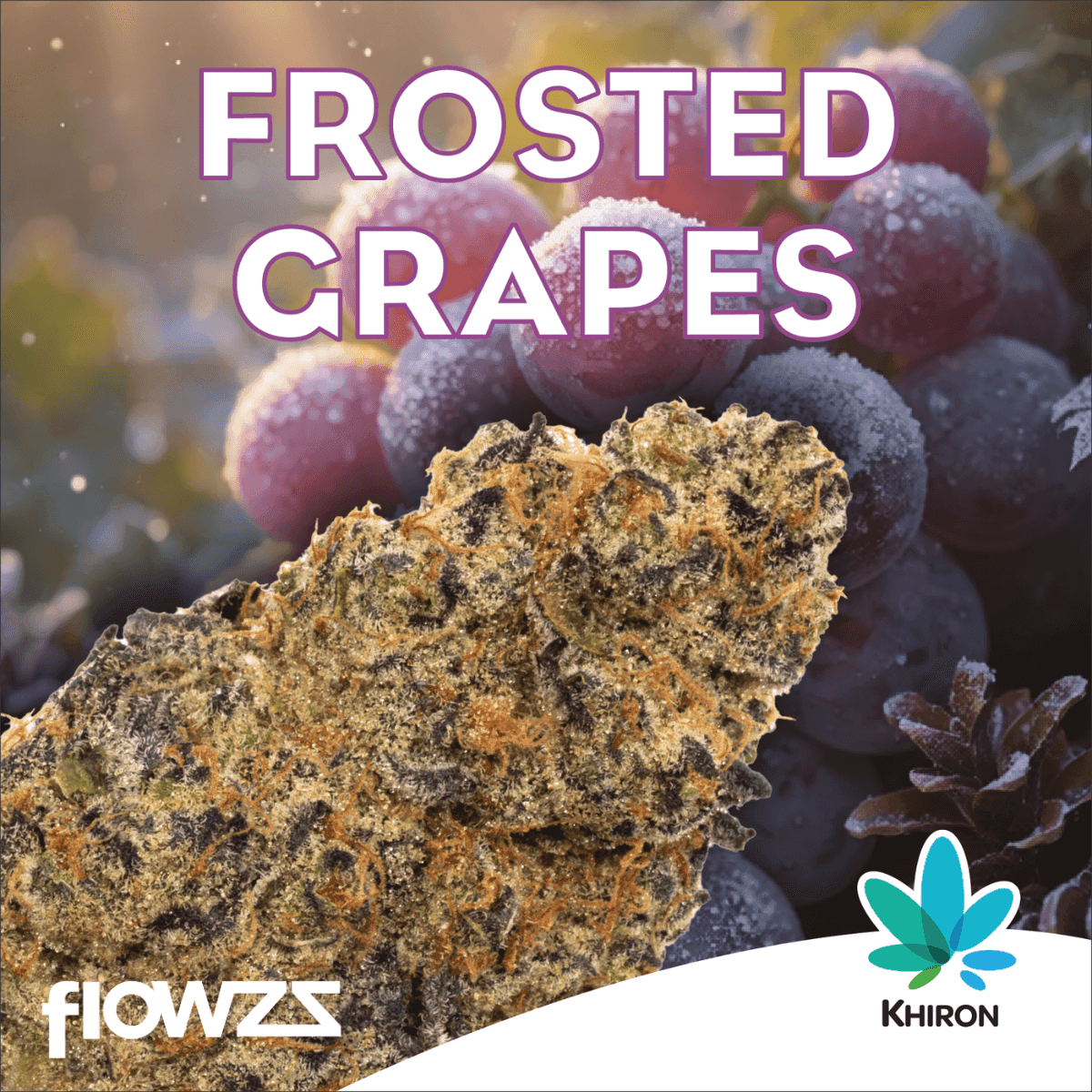 Khiron FG 28/1 Frosted Grapes