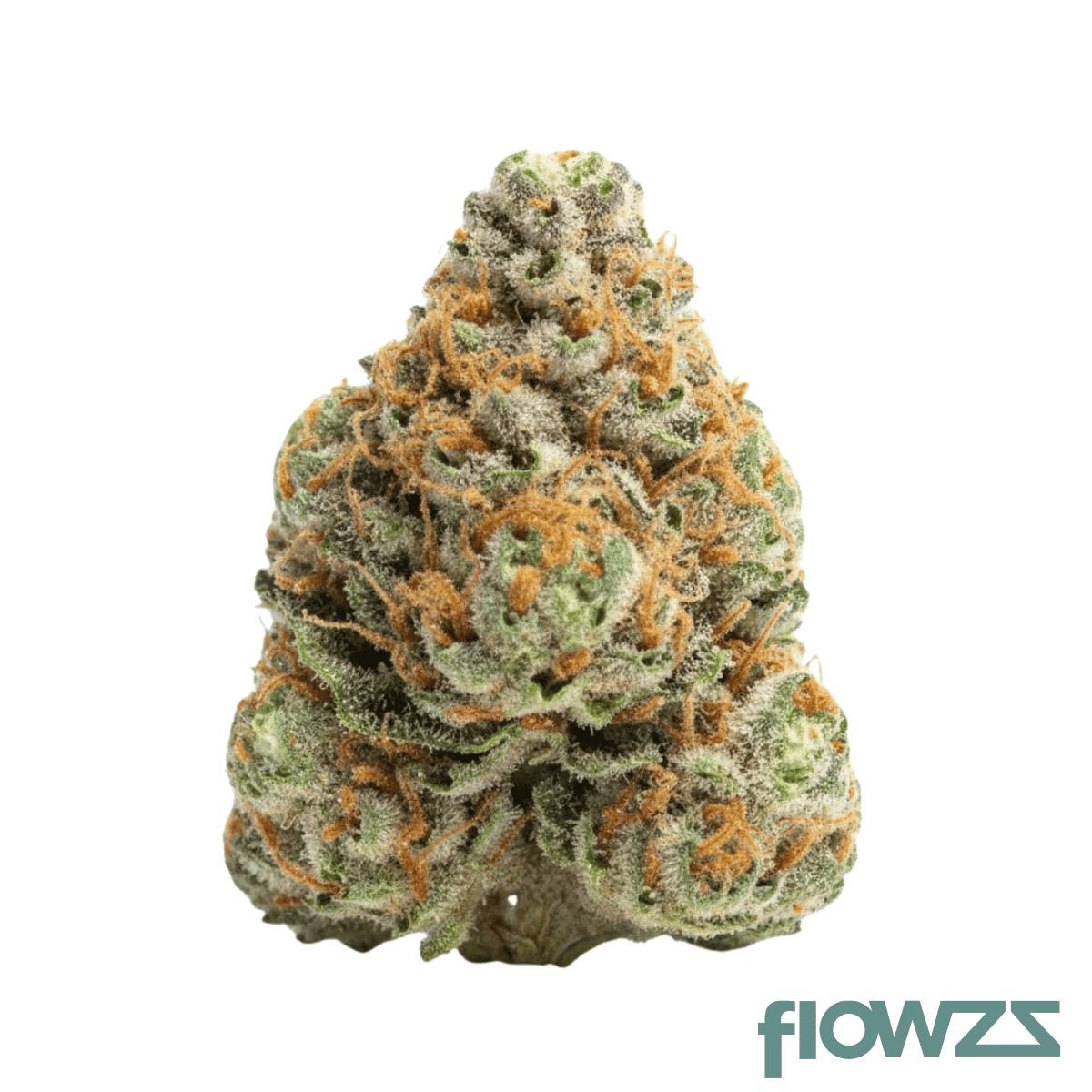 thc-akut-fb-26-opp-orange-push-pop
