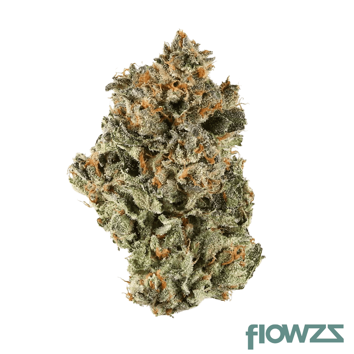 phcann-exotics-22-1-red-pop