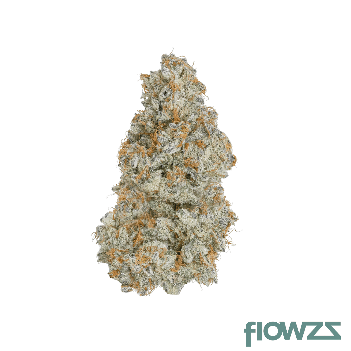 26-1-amici-cm-cereal-milk