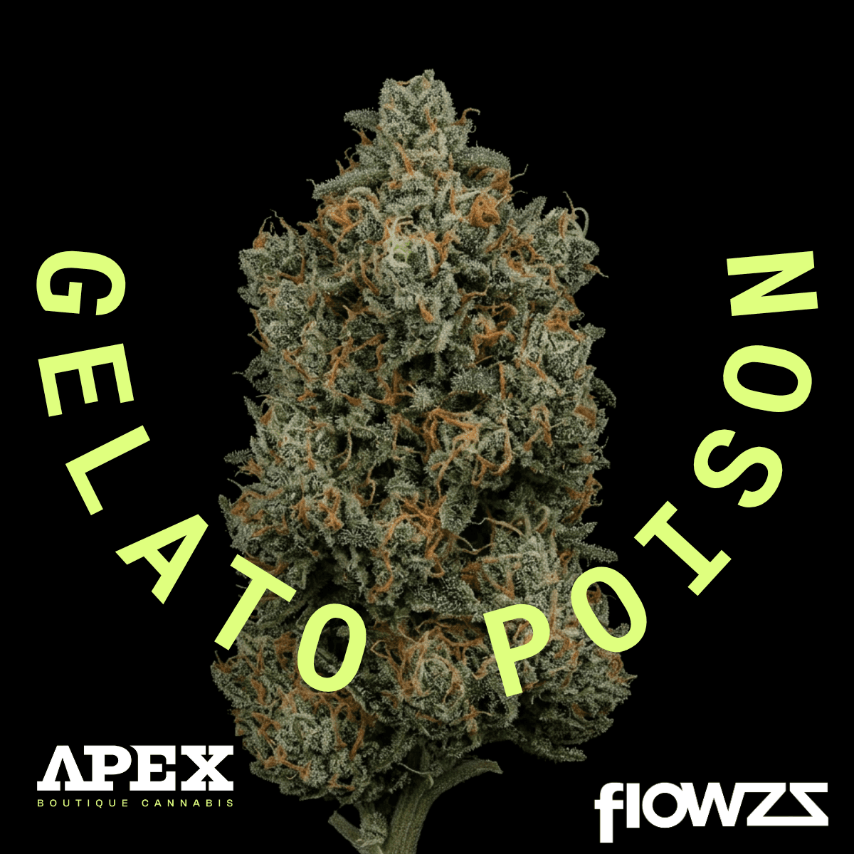  Apex GEP PT 29/1 Gelato Poison