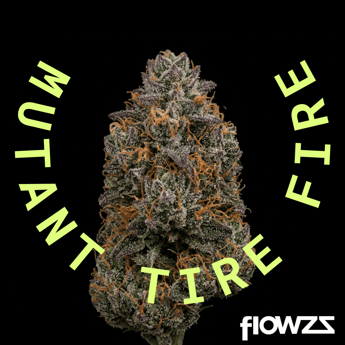 Apex MTF 32/1 Mutant Tire Fire