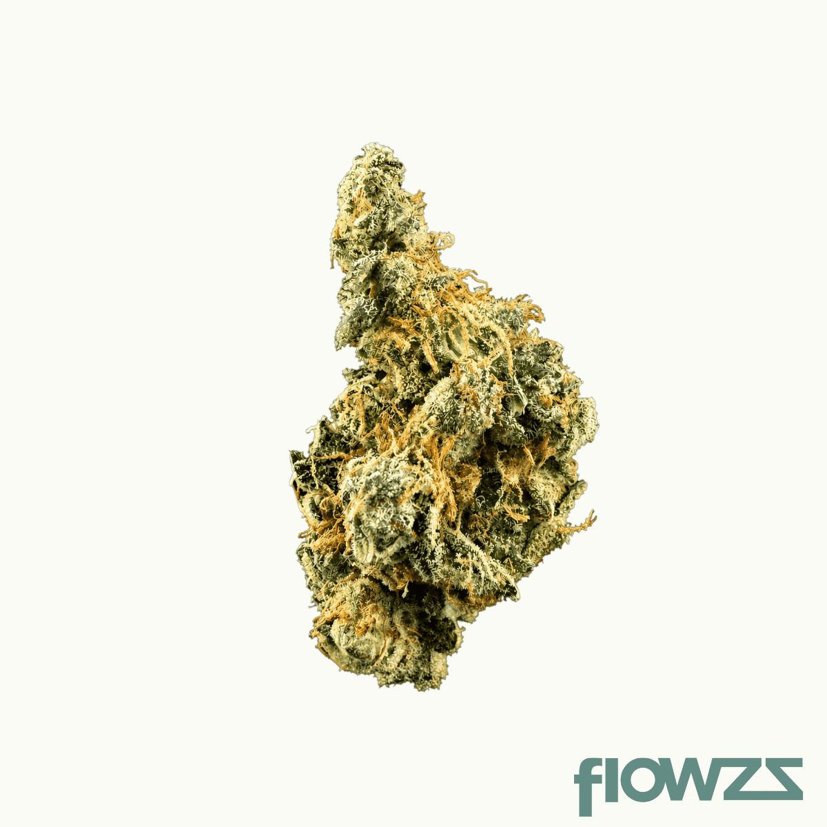 Bathera 25/1 GMO smalls