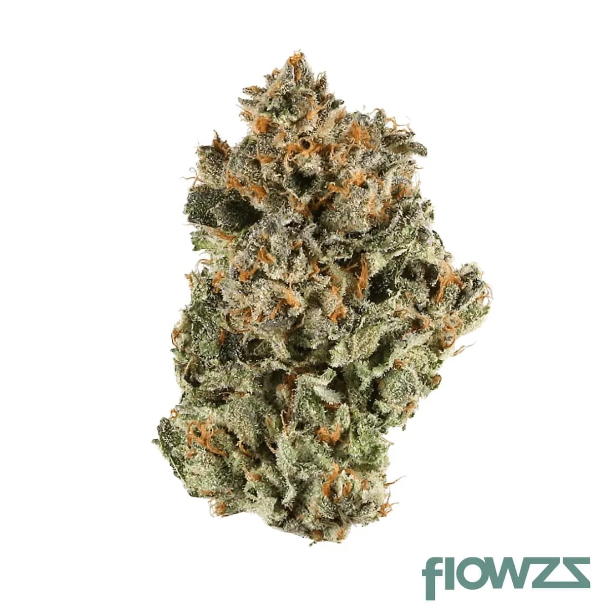 lit-27-1-sh-sunset-sherbert