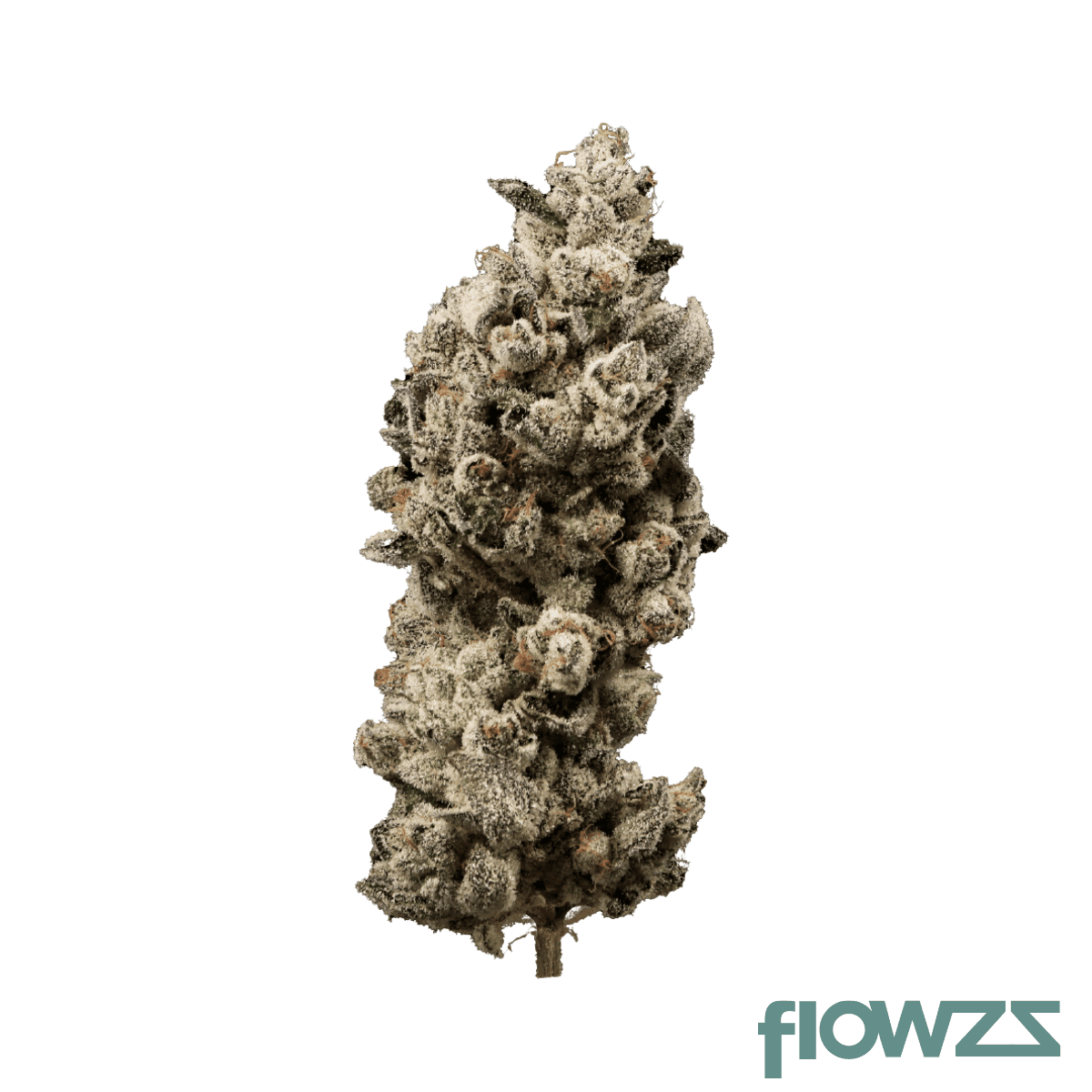good-supply-thc25-bbd-blueberry-donuts-29