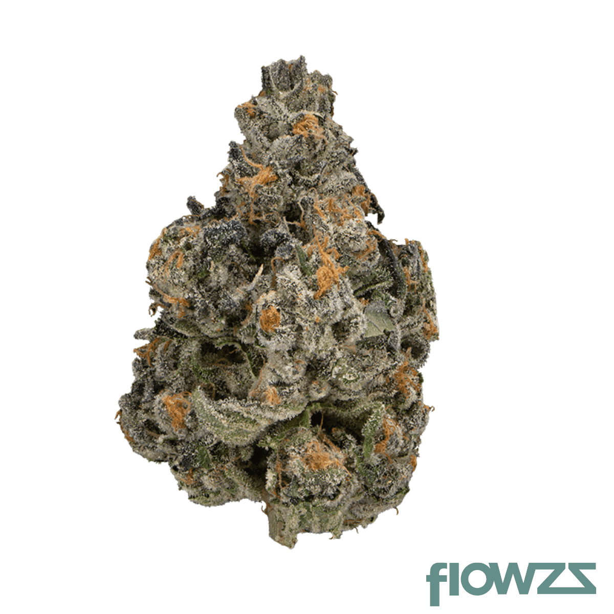 kush-collective-30-1-cbh-cuban-haze
