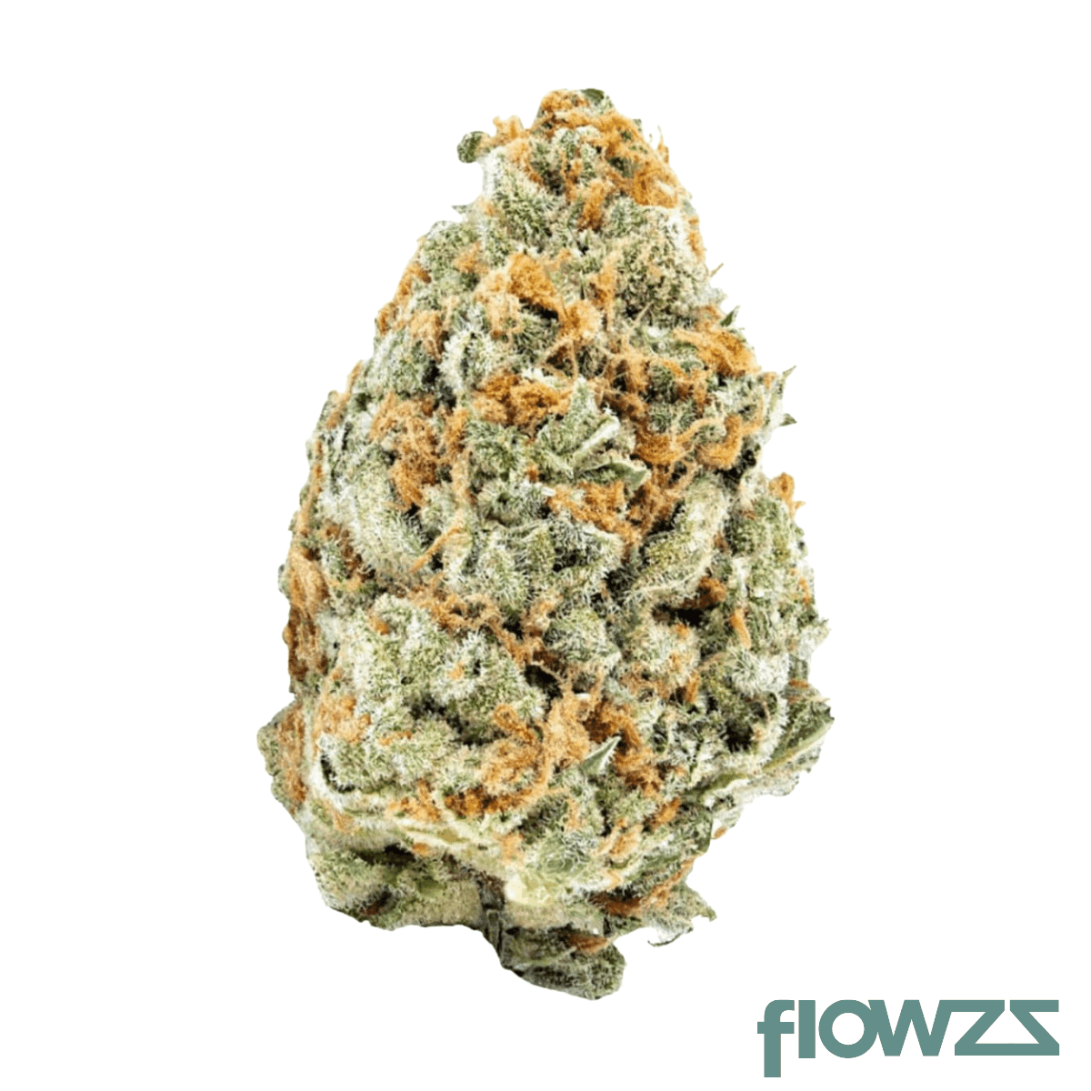 slouu-22-1-agm-ca-cdw-chem-dawg