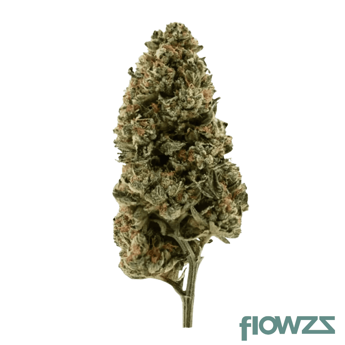 demecan-ps-epic-drop-30-1-orange-juice-x-girl-scout-cookies