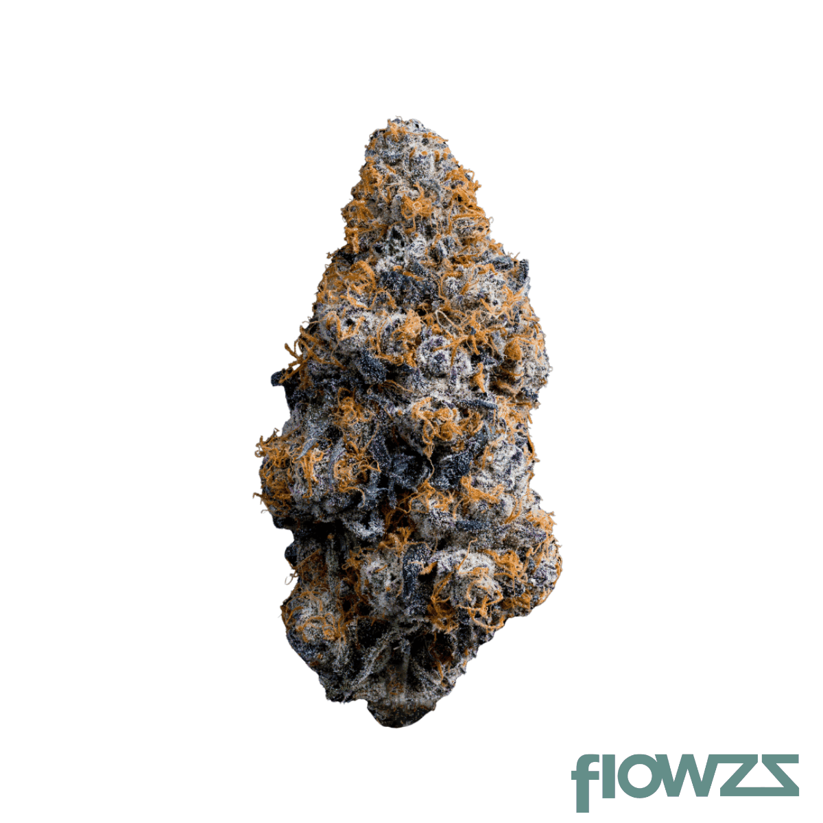 avaay-signature-31-1-ba-black-amber