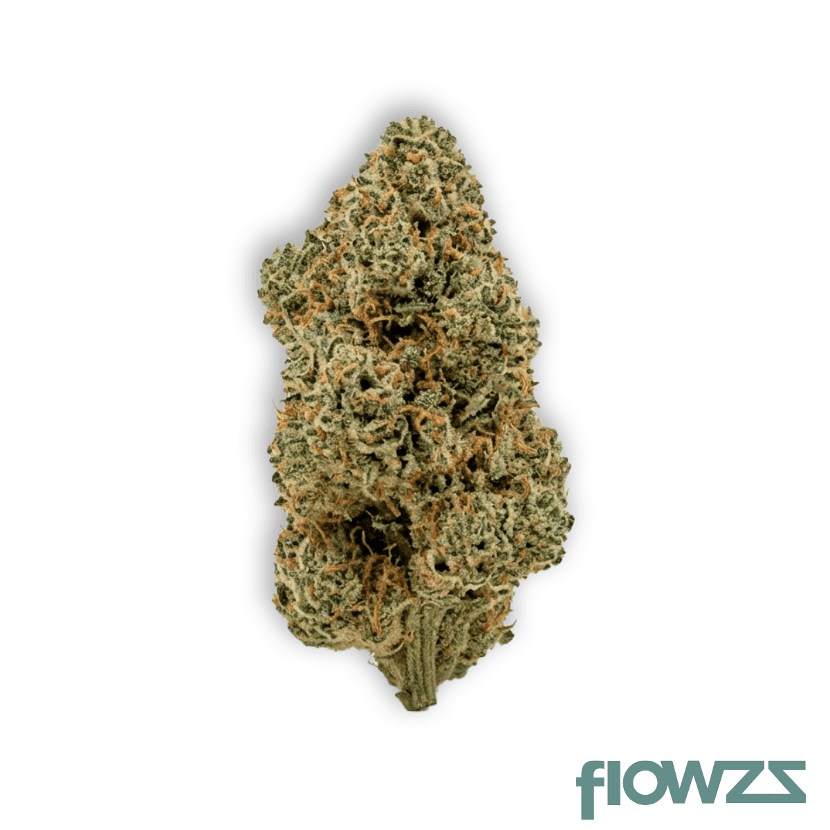AMP KHI PUP THC25 Purple Planet