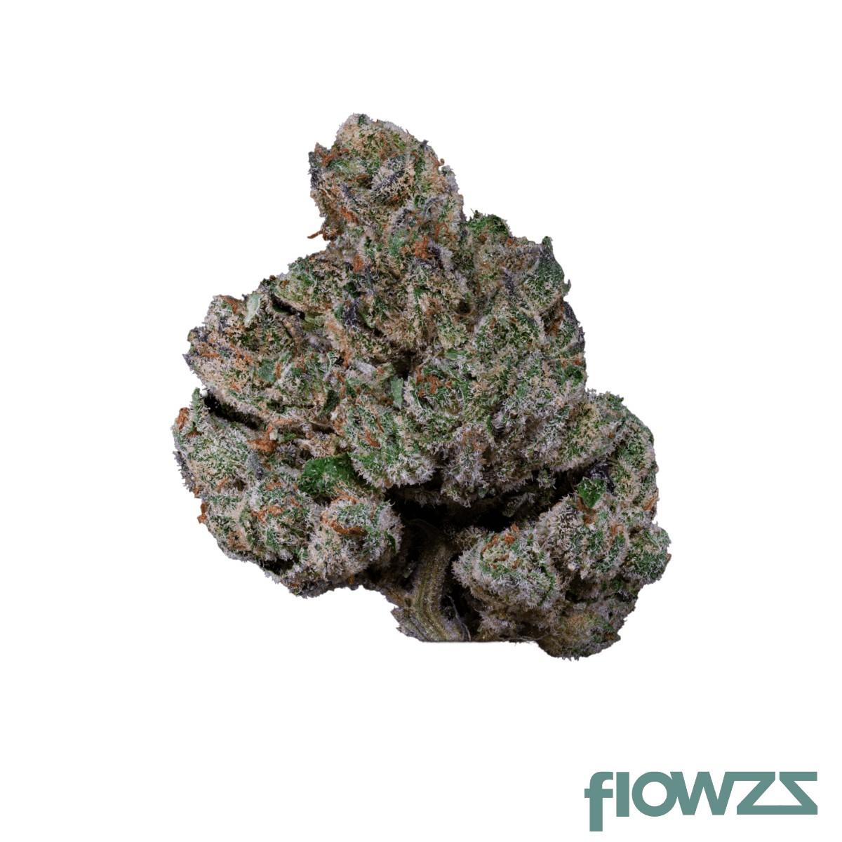 22/1 Amici FTY Fruity Pebbles