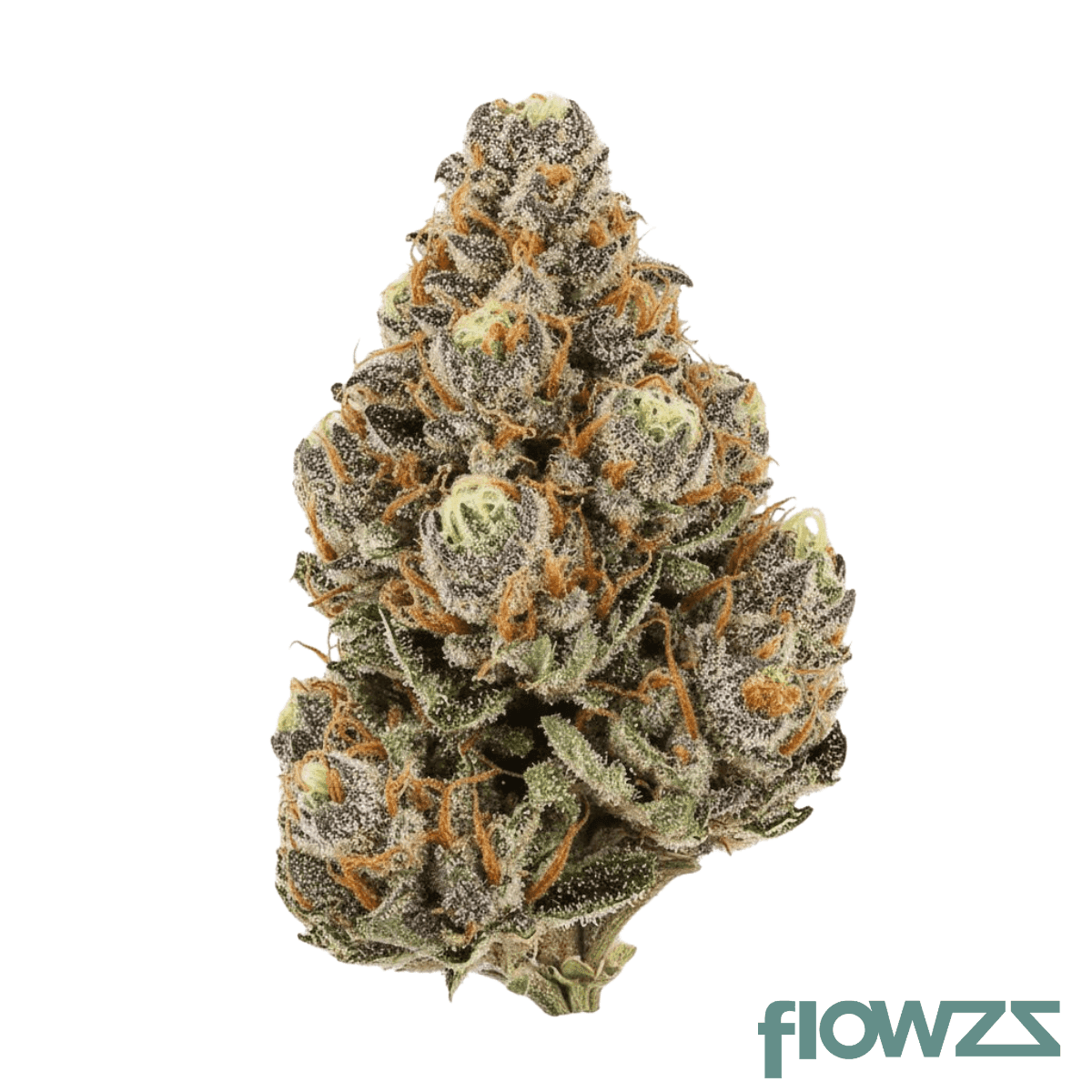 natural-buds-35-1-bby-blockberry