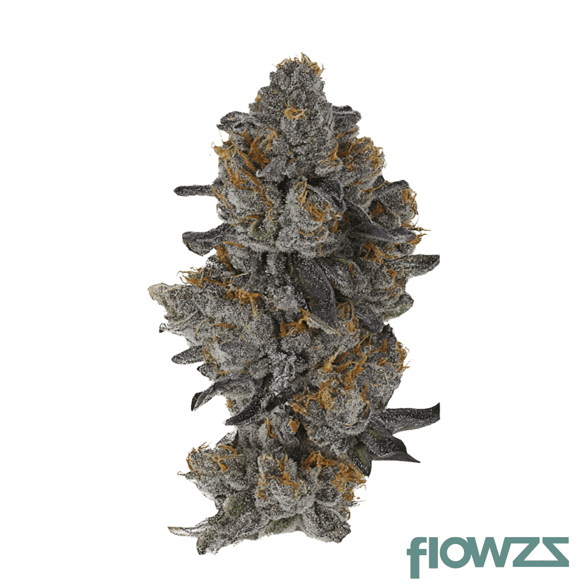 32-1-amici-slh-super-lemon-haze