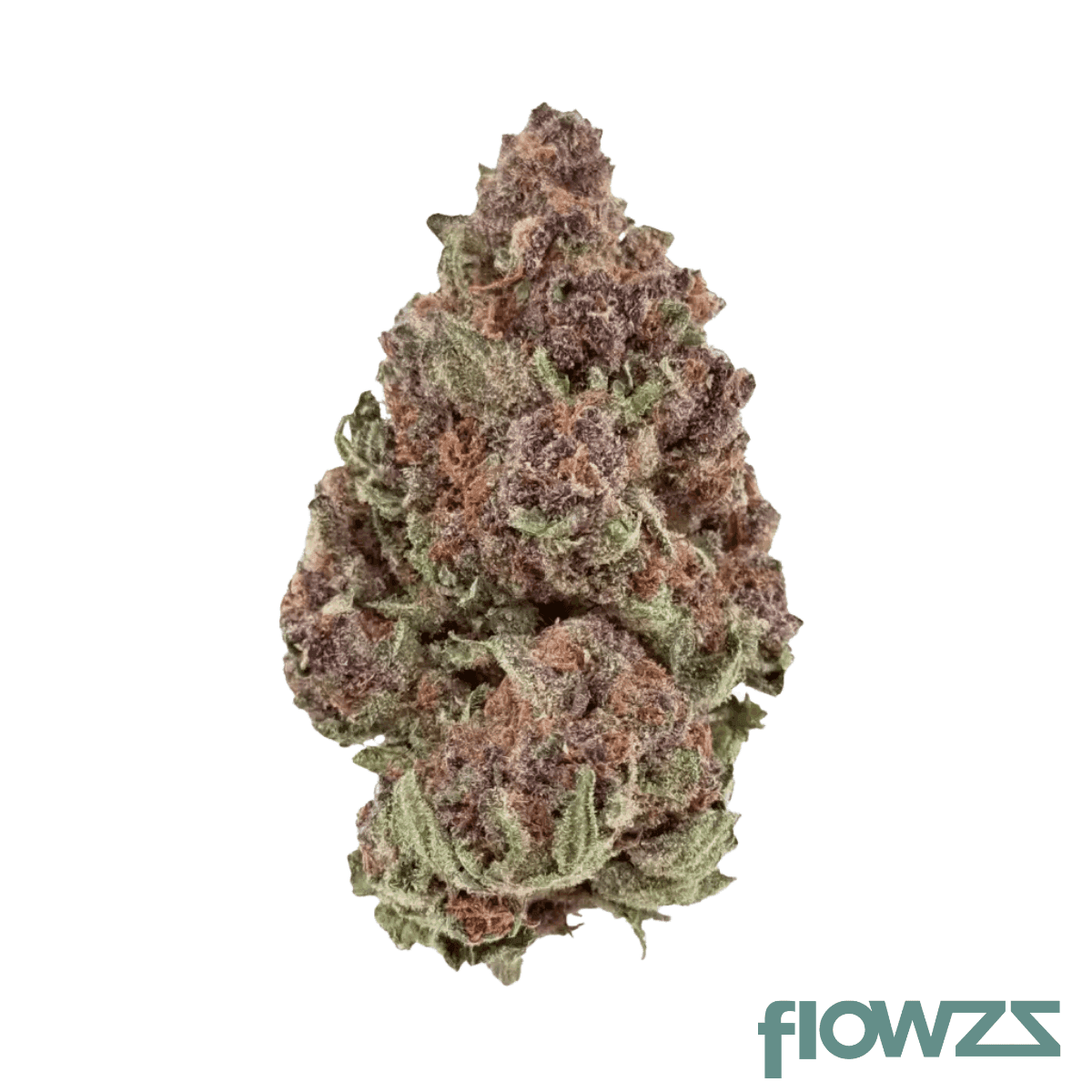 buuo-22-1-whg-white-gelato
