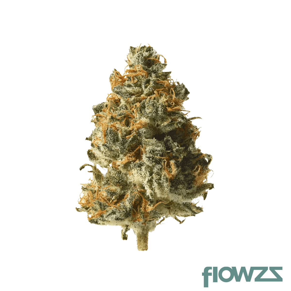 thc-akut-ohs-20-np-neon-princess