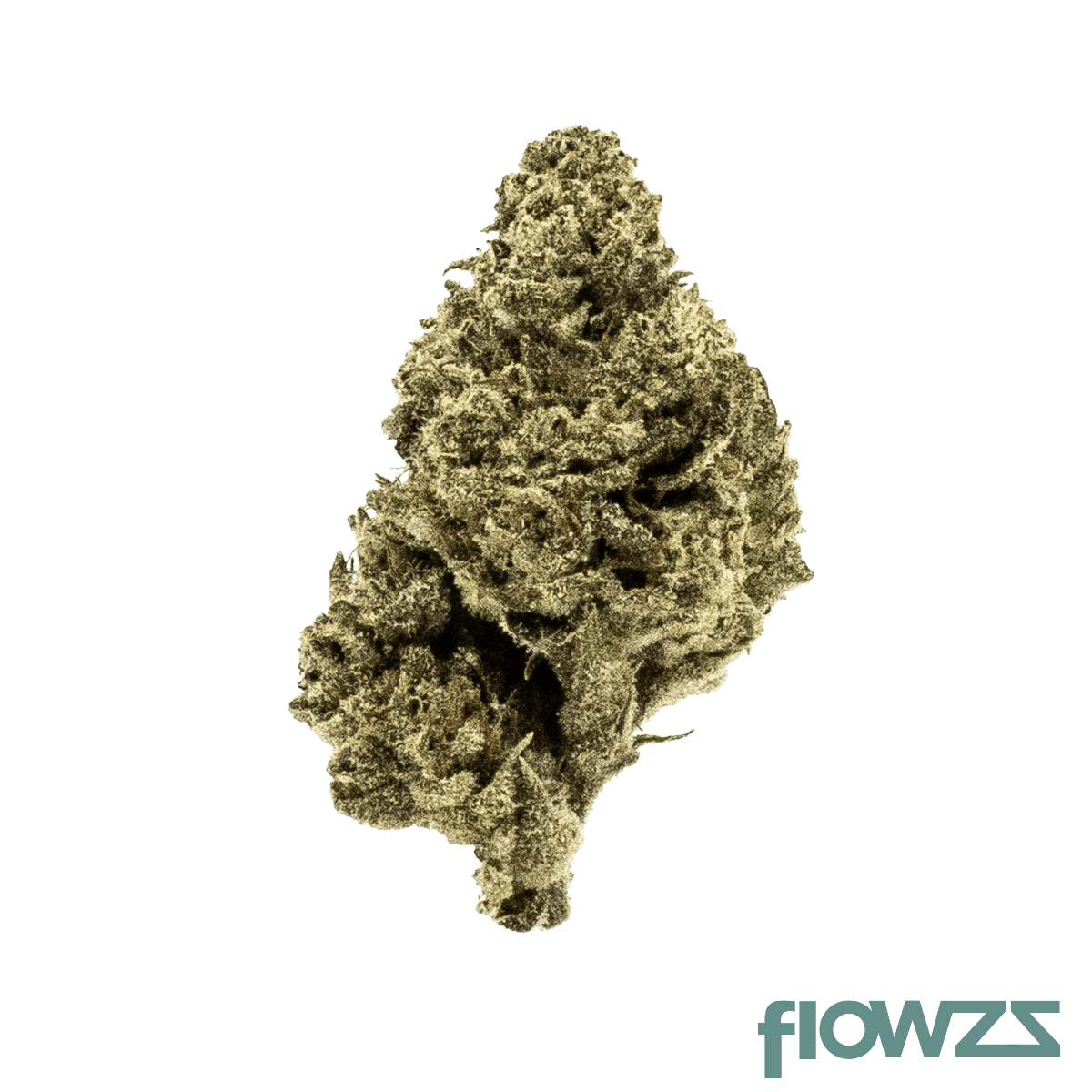 breezy-high-lo-27-1-lorito