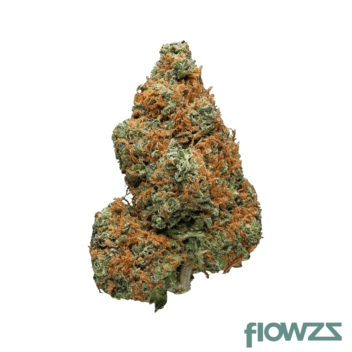 siggis-wldm-2801-siggis-waldmeister