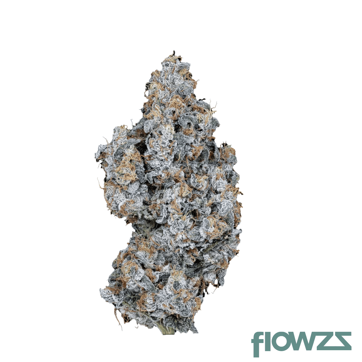 beyond-bloom-gwrtz-22-1-white-runtz