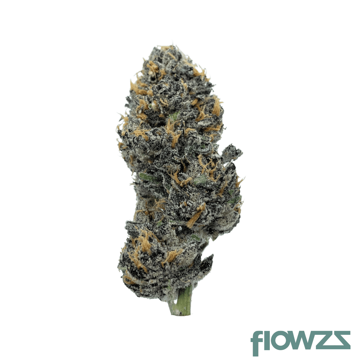 barongo-32-1-sor-sfv-og-x-candy-rain