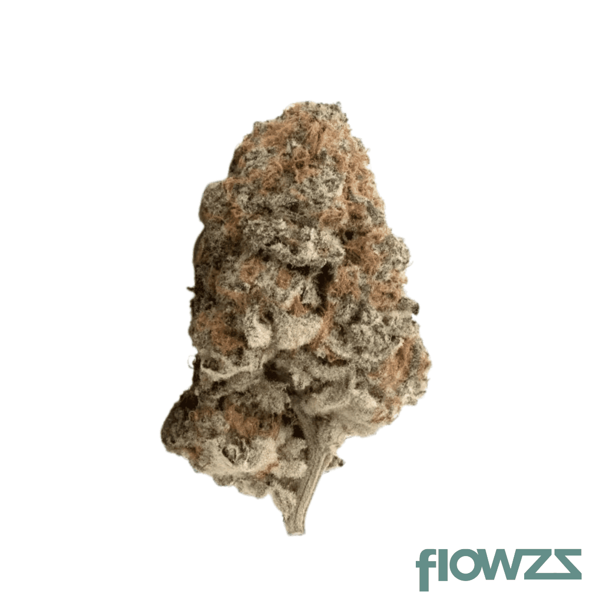 firegold-33-1-smc-strawberry-mac
