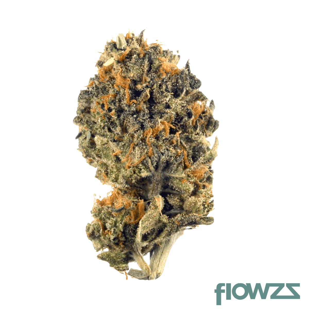 demecan-light-drop-19-1-cherry-pie-kush-x-og-kush