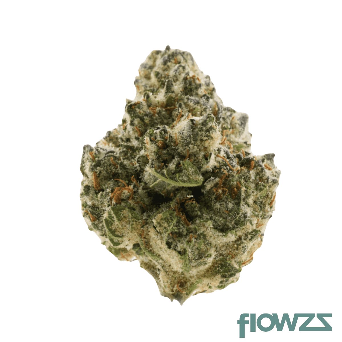 26-1-amici-bp-blue-pave