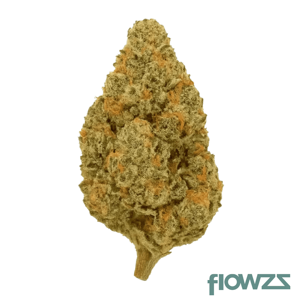 remexian-27-1-hcc-gra-gran-francorino