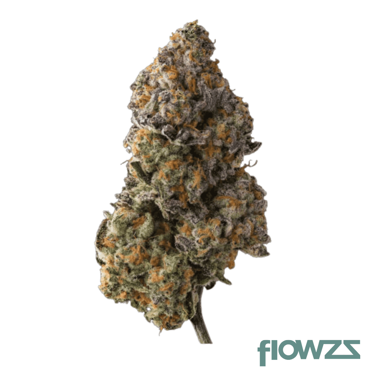 420-evolution-27-1-ca-scm-scented-marker