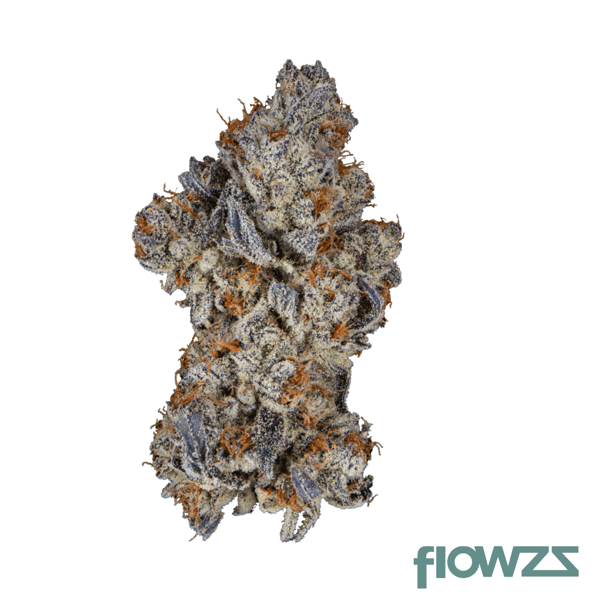 pop-up-no-9-30-1-mellowz-08